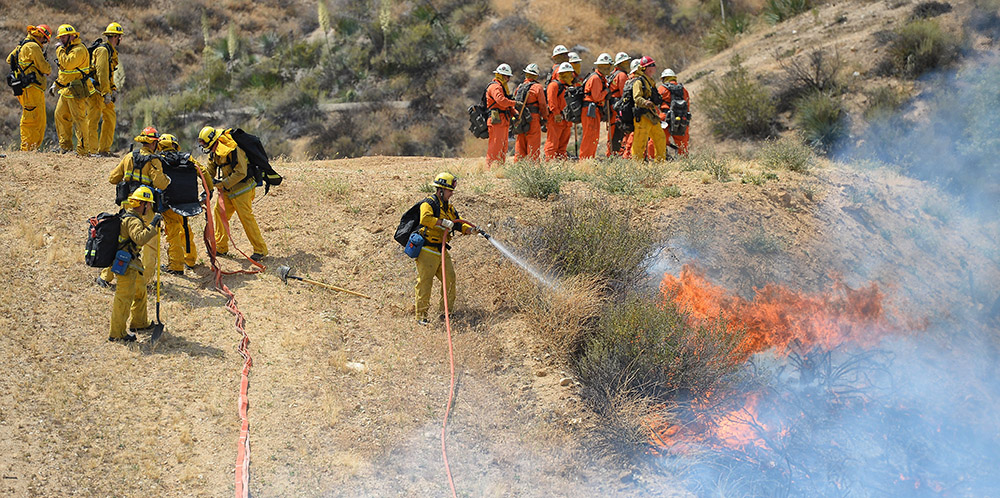 LA City Firefighters battle a brush in Lake Veiw Terrace, Monday, May 23, 2016.  (Hans Gutknecht/Los Angeles Daily News
